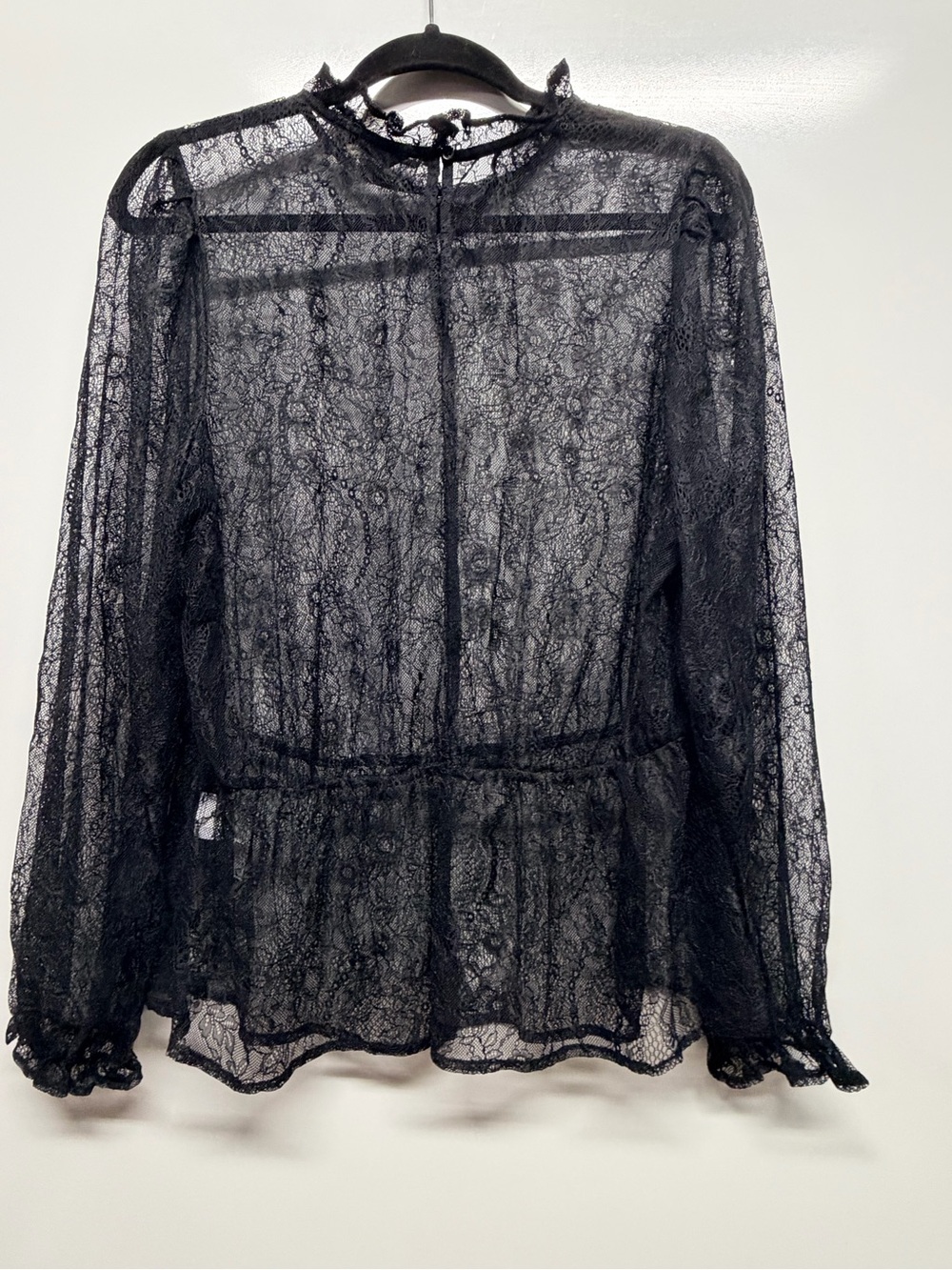 Banana Republic Sheer Black Lace Long-Sleeve Blouse